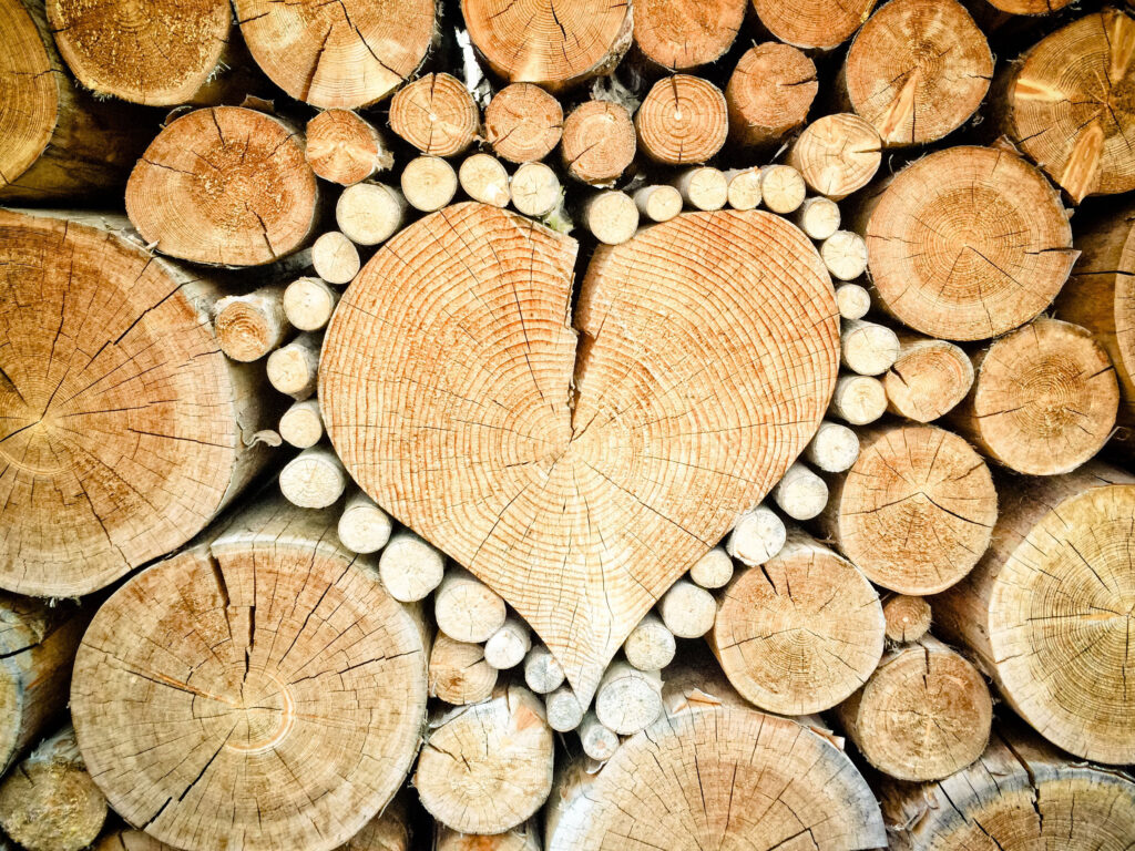Wiedenig BG Holzvergaseranlagen