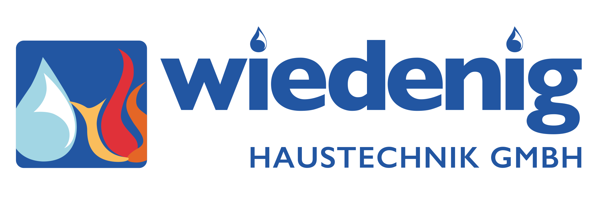 Wiedenig GmbH Logo